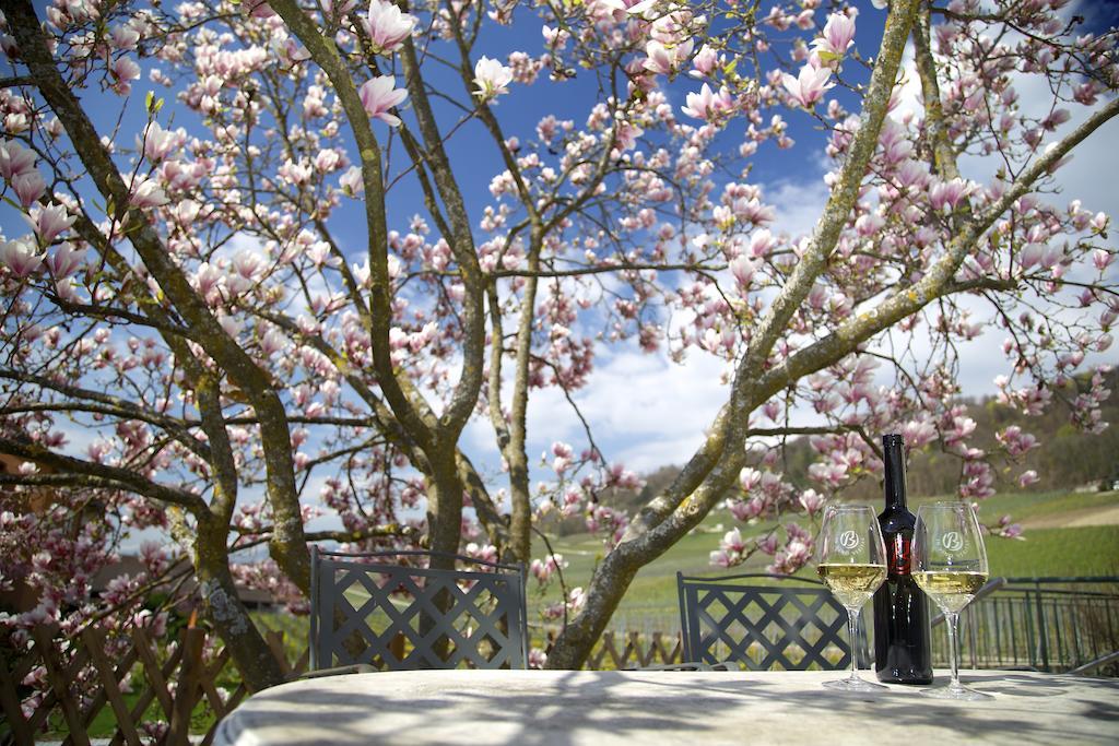 Cave Beetschen Bed & Breakfast Bursins ภายนอก รูปภาพ